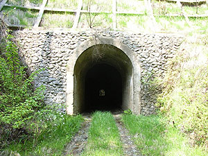 船ヶ谷隧道（大久隧道）：南側坑門