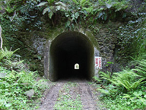 船ヶ谷隧道（大久隧道）：北側坑門