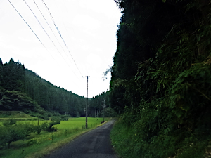 左手に田畑、右に山と山の際を走る1車線