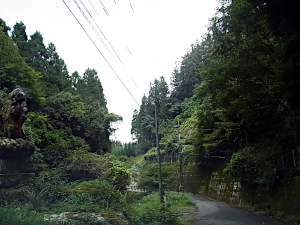 剣持川の谷間と両側に檜林