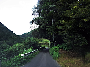 左にはガードレールが右には森がある1車線の道