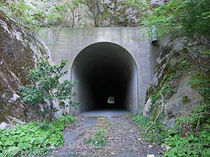 元屋トンネル：西側坑門
