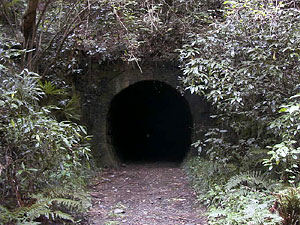 細川柱本隧道：東側坑門