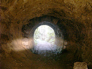 細川柱本隧道：東側坑口付近