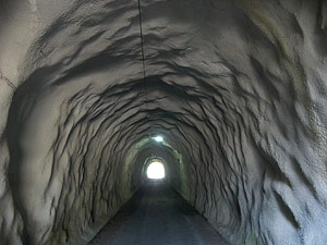加茂隧道：トンネル内部