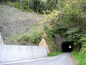 加茂隧道：南側坑口前補修