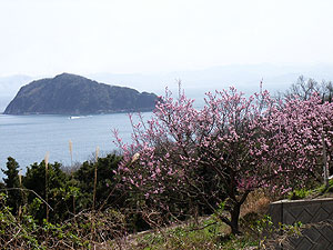 風ノ子島