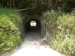 近所の素堀私隧道
