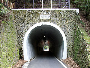 落合隧道：西側坑門