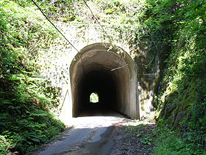 林道耳々浦線：耳浦トンネル