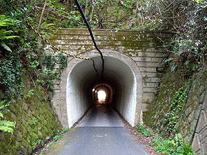 仁夫トンネル：東側坑門