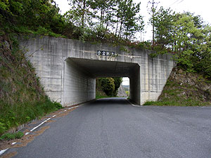 愛宕隧道：南側坑門