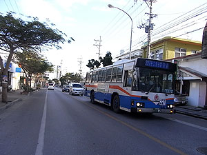 琉球バス交通
