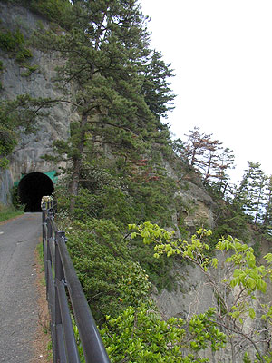 龍ヶ滝隧道：崖と隧道