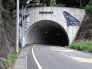 太地隧道：南側坑門
