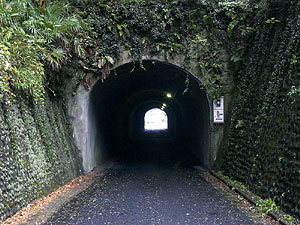 登具隧道：南側坑門