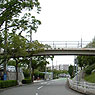 Sakurabashi Footbridge