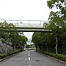 Tsutsujibashi Footbridge 1