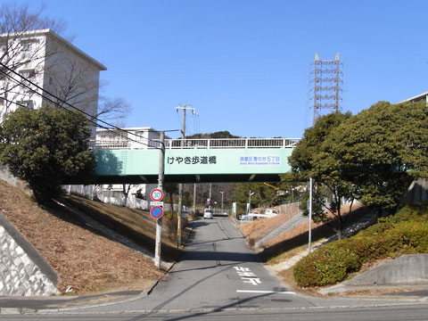 Keyaki Bridge
