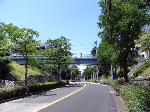 Midori bridge