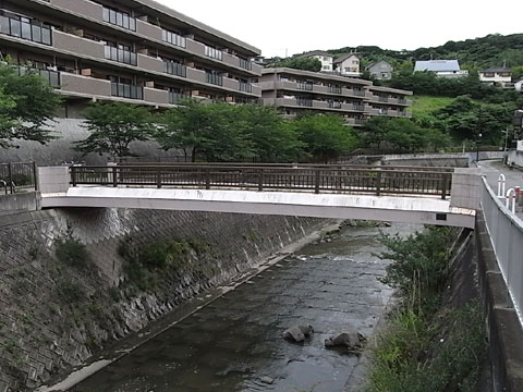 Domen-sakura Bridge