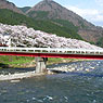 Okidaibashi Footbridge