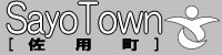 Sayo Town